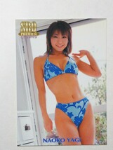 SRQプレミアム 八木奈緒子 L1 スーパーレースクイーン_画像1