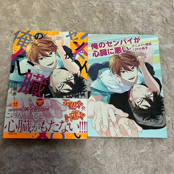 俺のセンパイが心臓に悪い　百瀬あん アニメイト小冊子