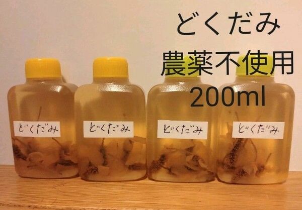 どくだみエキス　チンキ　農薬不使用200ml