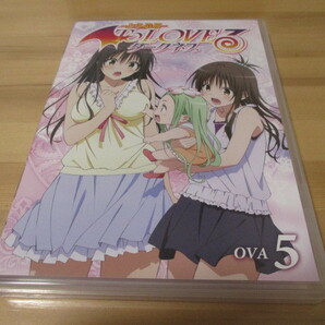 DVD To Loveる -とらぶる- ダークネス OVA 5 即決の画像2