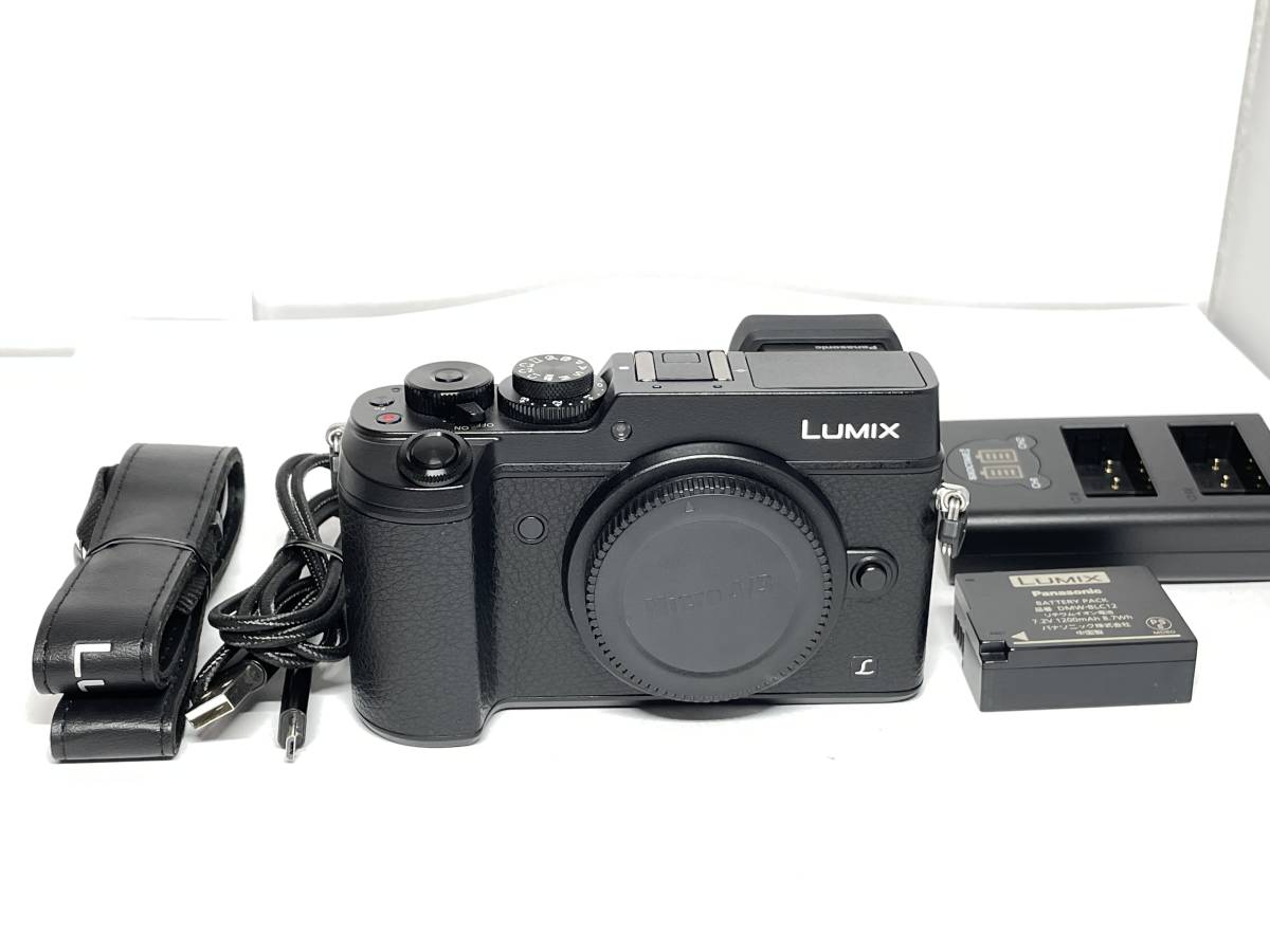 2023年最新】Yahoo!オークション -lumix gx8の中古品・新品・未使用品一覧