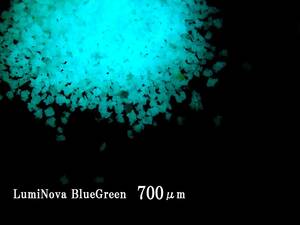  herbarium work work . popular! dark . shines raw materials * heat-resisting property [N night light ru Minaux ba] blue green luminescence 700 micro n10g postage included . light 