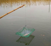 O038　　四つ手網　60㎝×60㎝　川魚・エビ・カニなどの捕獲に　網カゴ漁もんどり　川遊びに_画像10