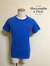 Abercrombie & Fitch kids アバクロンビー&フィッチ キッズ 半袖 ビッグ アイコン Tシャツ ブルー サイズM 青_画像1