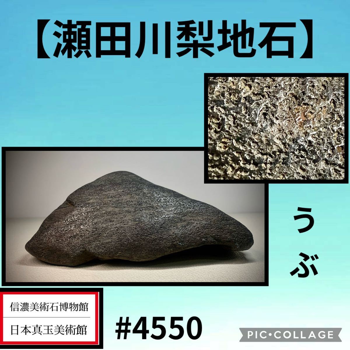 お盆休み特集》水石盆栽瀬田川梨地石ウブ横18×高7.5×奥行11(cm) 1.46kg