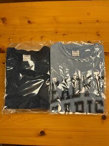 ZARA キッズ　tシャツ サイズ140 2枚セット