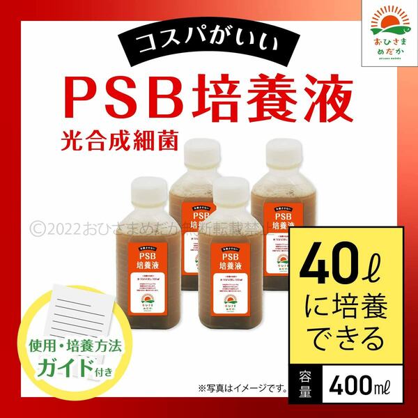 【PSB培養液 400ml　40L培養分　送料無料】光合成細菌　メダカ めだか 金魚 ミジンコ　ゾウリムシ　クロレラ　ミジンコ　に最適