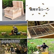 希少新品！養蜂 巣箱 養蜂用品みつばち巣箱 非常に乾燥巣箱 蜂蜜キーパー巣箱 杉木ミツバチの巣箱耐久性のあります 防水性と防食性_画像5
