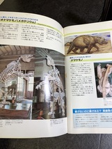 『1986年 絶滅の大怪獣展―今よみがえる巨大オオナマケモノ アルゼンチン国立ラプラタ大学付属自然科学博物館所蔵』_画像3