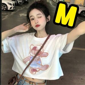 クマのプリントがかわいいヘソだしセクシー Tシャツ韓国ファッション