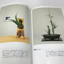 NB/L/唐衣 池坊生花研究 四季の燕子花/著:柴田英雄/監修:池坊専永/発行:日本華道社/平成14年2月28日発行/生け花 華道 植物_画像4