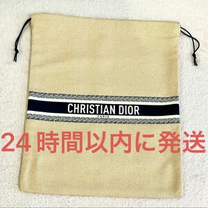  new goods unused *Dior pouch pouch Dio riviera garden Novelty 2023 mezzo n Christian Dior 