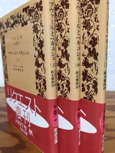 ブヴァールとペキュシェ　上 （岩波文庫） フロベール／作　鈴木健郎／訳