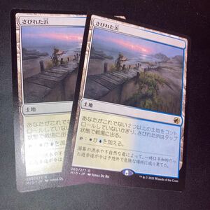 2枚組　さびれた浜　ギャザリング mtg 真夜中の狩り