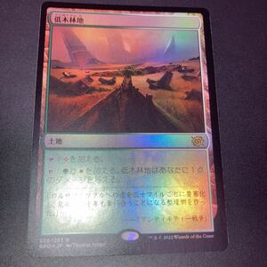 foil 低木林地　ギャザリング mtg 兄弟戦争