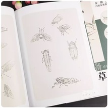 9787539898056　草虫の描き方　中国画技法テキスト　動画で描き方を学べます　案頭必備　中国語書籍_画像3