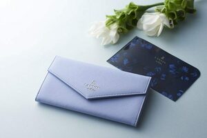 ラスト１個！★美人百花 2020年11月号付録★LANVIN en Bleu（ランバン オン ブルー）★エチケットケース