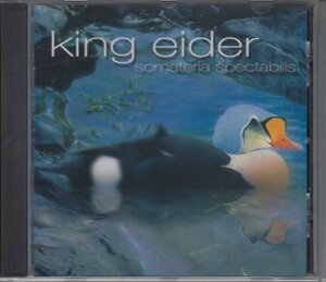 【オランダ】KING EIDER / SOMATERIA SPECTABILIS（輸入盤CD）