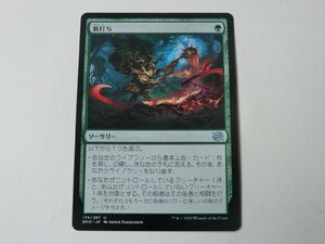 MTG 美品 【薮打ち】 （アンコモン） 兄弟戦争 BRO 日 9枚迄