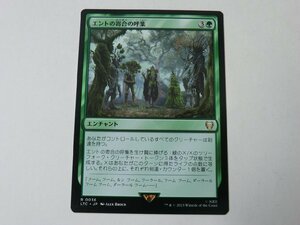 MTG 美品 【エントの寄合の呼集】 （レア） 指輪物語：中つ国の伝承 LTC 日 4枚迄