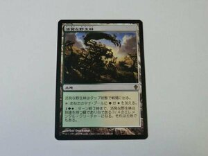 MTG プレイド 【活発な野生林】 （レア） WWK 日 5枚迄