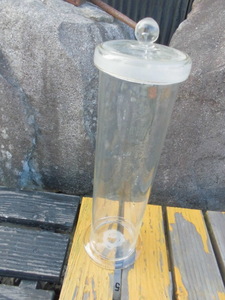 ホルマリン漬用　水草　ガラス瓶　35×10センチ