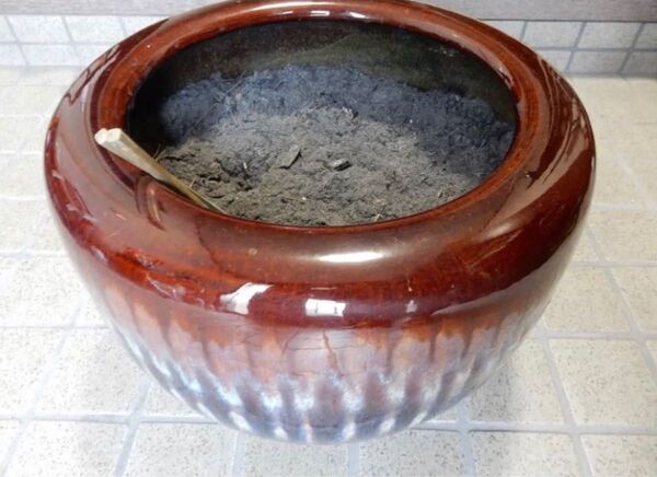 火鉢 ビオトープ メダカ鉢 金魚鉢 13号?