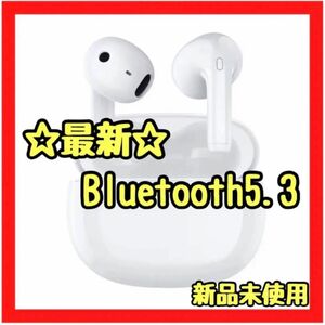 ワイヤレスイヤホン Bluetooth5.3 超軽量 インナーイヤー型 イヤホン 完全ワイヤレス