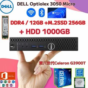 Dell office2021 /Win/ Celeron G3900T /12GB /M.2SSD256GB+HDD1TB 