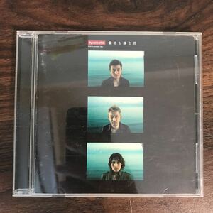 (412)中古CD100円 ポルノグラフィティ 雲をも掴む民