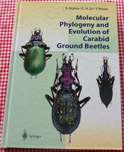 【送料無料】大澤省三 オサムシの系統と進化【Molecular Phylogeny and Evolution of Carabid Ground Beetles】中古美品_画像1