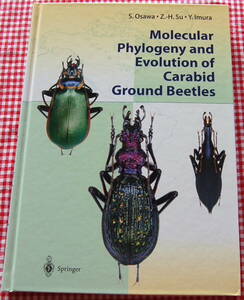 【送料無料】大澤省三 オサムシの系統と進化【Molecular Phylogeny and Evolution of Carabid Ground Beetles】中古美品