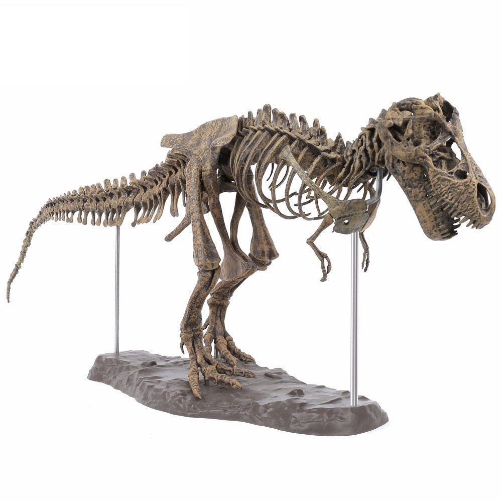 2023年最新】Yahoo!オークション -恐竜 化石 骨の中古品・新品・未使用