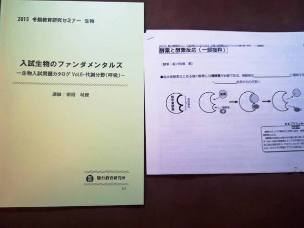 テキスト○駿台○入試生物のファンダメンタルズ呼吸代謝○教育研究セミナー朝霧 河合塾 駿台 鉄緑会 Z会 東進