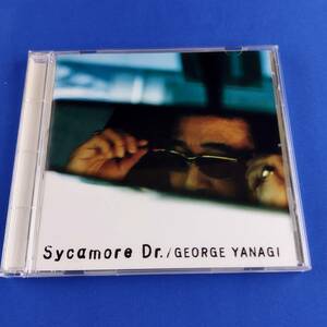 1SC9 CD 柳ジョージ Sycamore Dr.