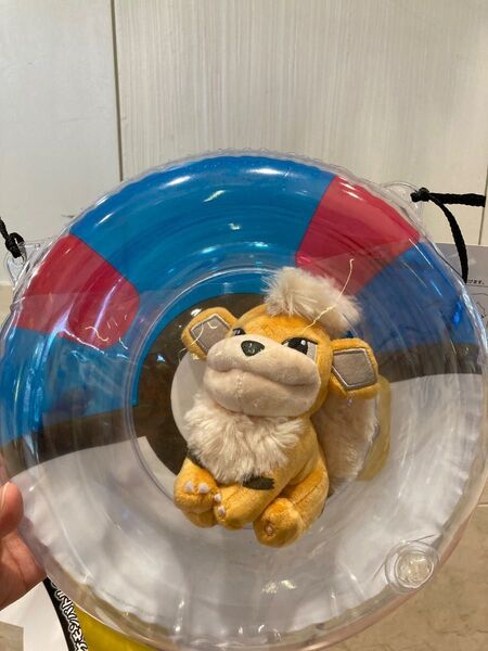 新品 2023メガポケモンガチャ ガーディ マスターボール