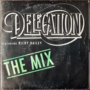 【Disco & Soul 7inch】Delegation / The Mix 