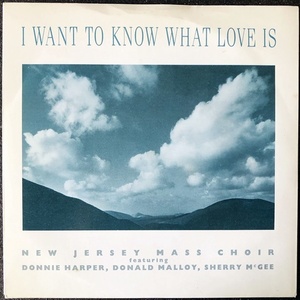 【Disco & Soul 7inch】New Jersey Mass Choir / I Want To Know What Love Is