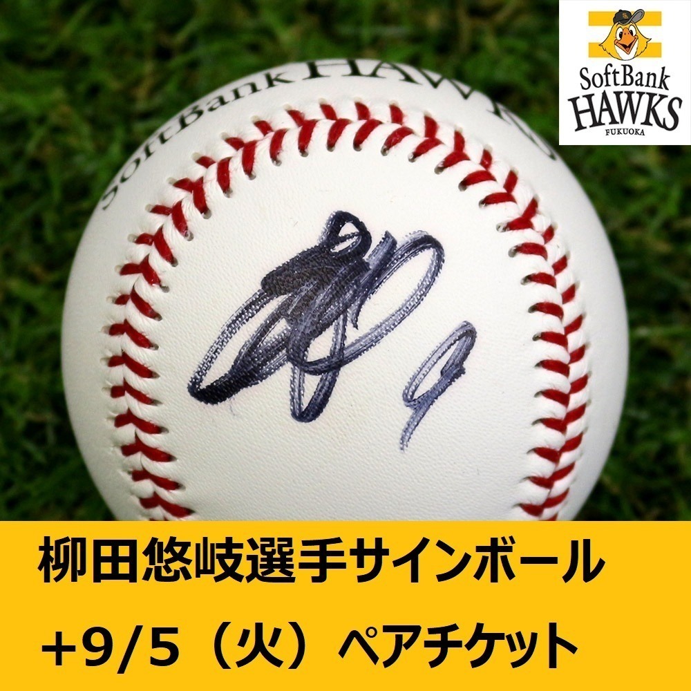 ヤフオク!  柳田悠岐 直筆サインの落札相場・落札価格