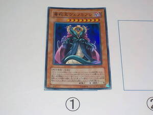 遊戯王　5期　TAEV　毒蛇王ヴェノミノン　スーパー　中古です。