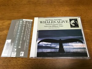 z6/CD ポール・ウィンター、ポール・ハーレーとざとう鯨 鯨の詩 国内盤 D32Y5072 帯付き ウィンダム・ヒル