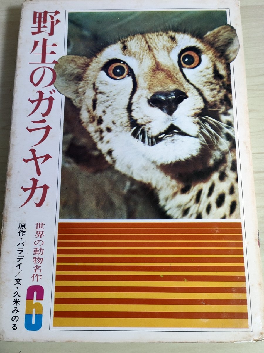 2023年最新】Yahoo!オークション -ガラヤカの中古品・新品・未使用品一覧