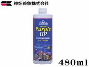 カミハタ カリブシー パープルアップ480ml　海水用添加剤 石灰藻 珊瑚 サンゴ ライブロック　管理60