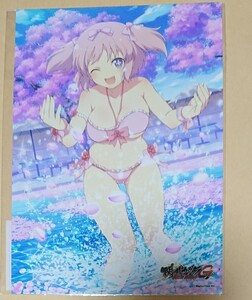 閃乱カグラ NewWave Gバースト 2L 銀塩 ブロマイド 雲雀 八重樫 南 チャリンコ狐 イラストカード くじ 限定 水着 