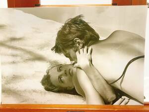 Art hand Auction ★ Alain Delon 언론용 대형 사진 원본 The Sun Knows, 영화, 동영상, 영화 관련 상품, 사진