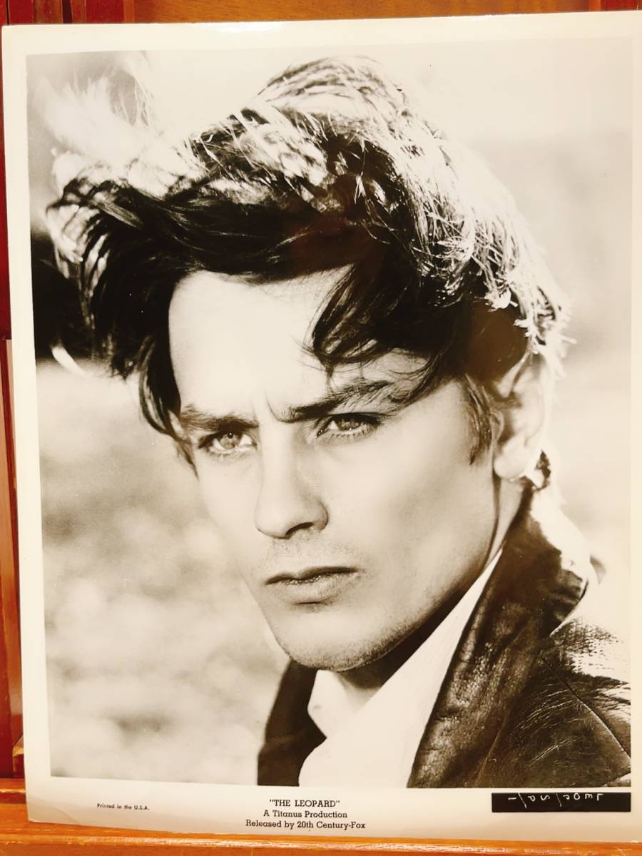 ★ Fotografía original de gran formato de Alain Delon para la prensa Wildcat, película, video, Productos relacionados con películas, fotografía