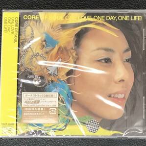 新品未開封CD☆ＣＯＲＥ.ＯＦ.ＳＯＵＬ- ONE LOVE，ONE DAY，.ONE LIFE！.。（2006/01/25）/ TOCT25888..