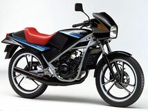 SUZUKI RG50Γ ウルフ50(NA11A) 純正 フロントフォーク ダストカバー＋オイルシール各2個1台分新品オーバーホール レストア ブーツ_画像2