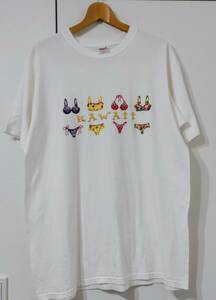 メンズ 古着　ヴィンテージ　アメリカ　ハワイ『anvil アンヴィル Tシャツ コットン100％ Lサイズ ゆったりサイズ』