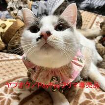 ★猫用ザビエルカラー W-３P ／鈴入り （Xavier Collar with Bell for Cat）★ 三層布マスク （Washable Three Layered Fabric Mask）_画像2